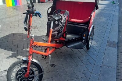 1 Hour Private Amsterdam Rickshaw Tour - Pickup that saves you from the Amsterdam puzzle