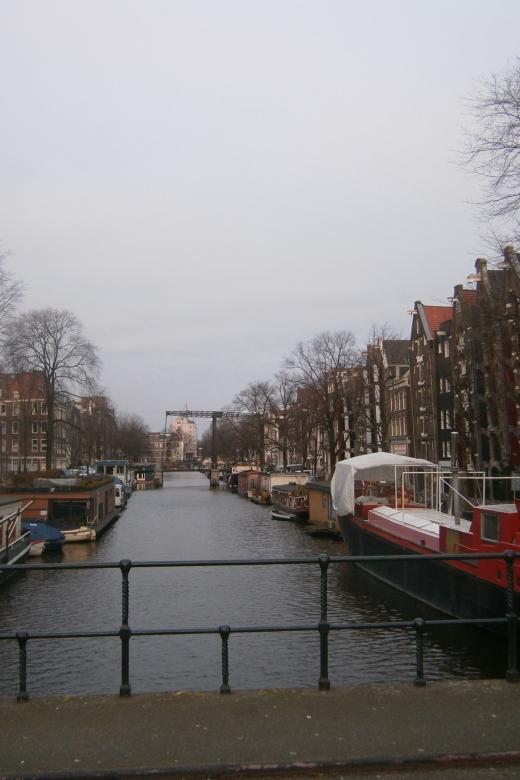 2.5-Hour Amsterdam Sightseeing Tour by Bike - Museum Square and Wester Church tower: a landmark ride with real context