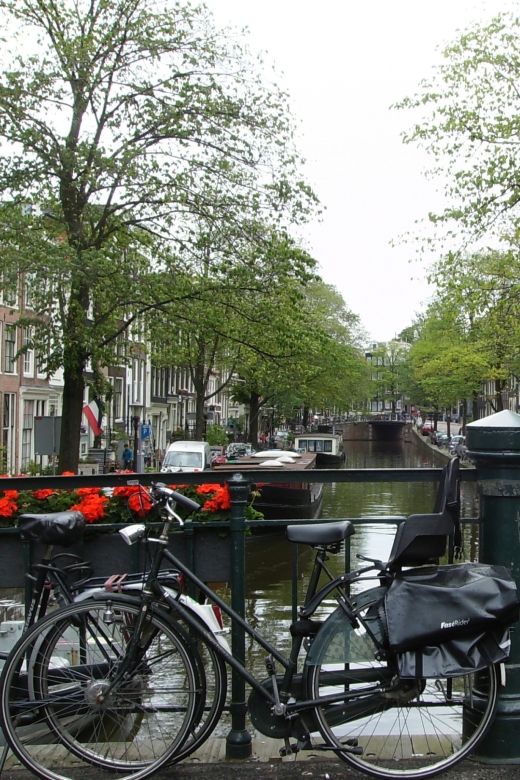 2.5-Hour Amsterdam Sightseeing Tour by Bike - Canal intersections: where the city’s personality shows up
