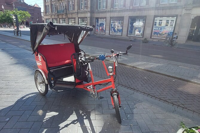 2 Hours Private Amsterdam Rickshaw Tour - Vondelpark: When Amsterdam Stops Moving for a While