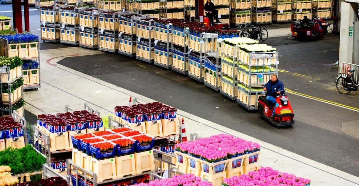 Aalsmeer: Flower Auction Royal Flora Holland Entry Ticket - World’s Largest Flower Auction in Aalsmeer: What You’re Actually Buying