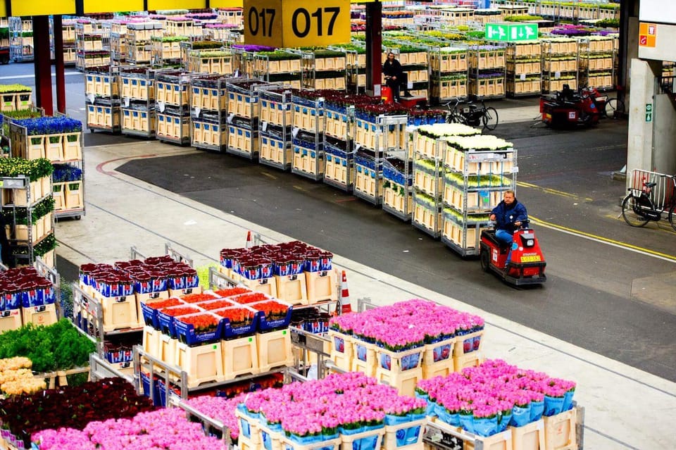 Aalsmeer: Flower Auction Royal Flora Holland Entry Ticket - Price and Value: Why $14 Makes Sense Here