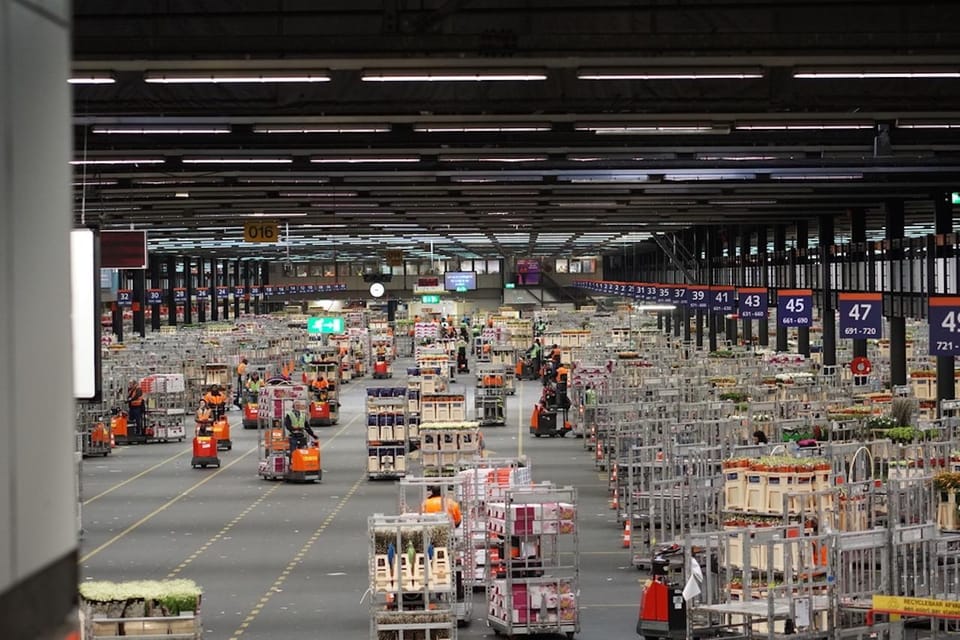 Aalsmeer: Flower Auction Royal Flora Holland Entry Ticket - Wheelchair Accessibility: What You Should Know