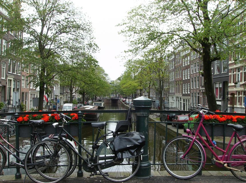 Amsterdam 1-Hour Rickshaw Tour - The 1-hour flow: how the experience typically moves from start to finish