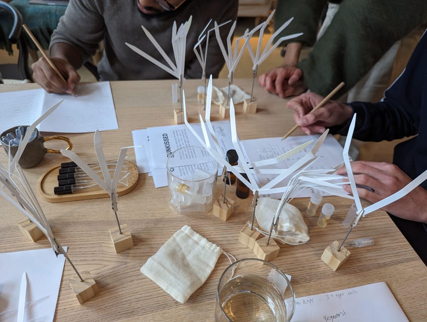 Amsterdam: 3-Hour Mindful Perfume-Making Workshop - Small Practical Tips That Make a Big Difference