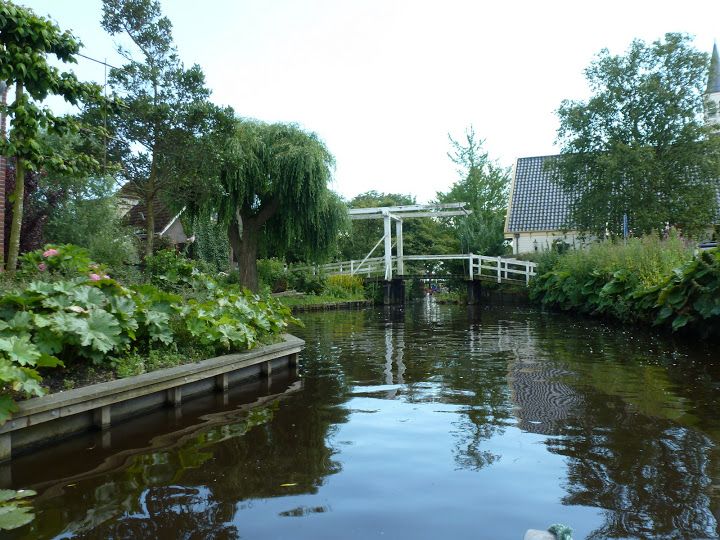 Amsterdam 5-Hour Guided Canoe Trip in the Wetlands - Canoeing the Reeds: The Real Point of This Amsterdam Wetlands Trip