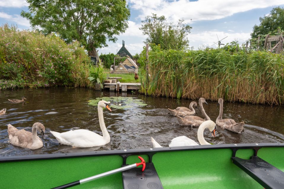 Amsterdam 5-Hour Guided Canoe Trip in the Wetlands - Price and Value: What You Get for $105