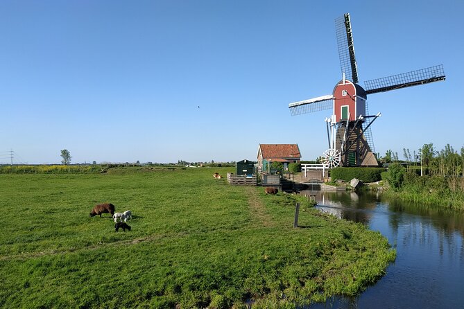 Amsterdam and Countryside Private Full-Day Tour by luxury car - Who this Amsterdam and Waterland tour is perfect for