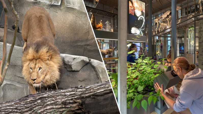 Amsterdam: ARTIS Royal Zoo and ARTIS Groote Museum Ticket - Key things to know before you go