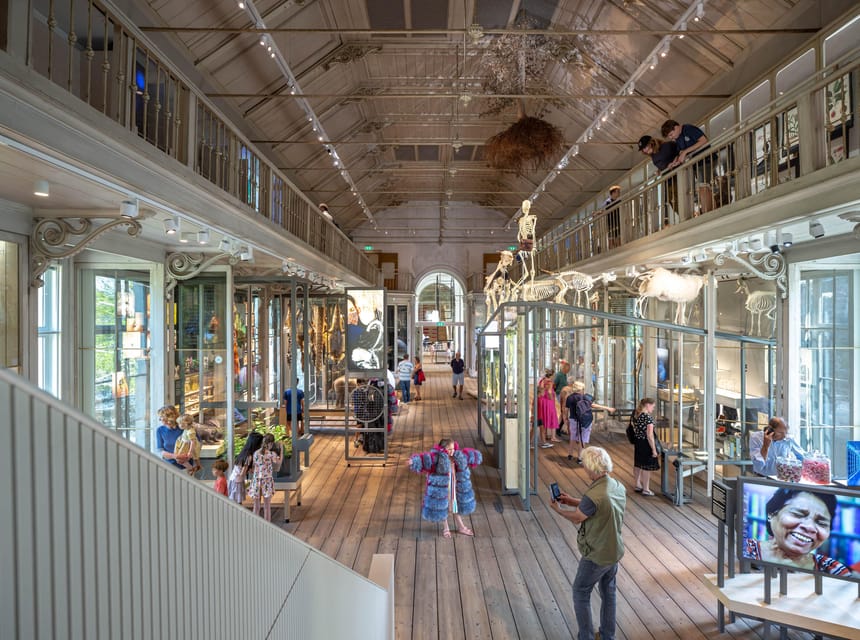 Amsterdam: ARTIS Royal Zoo and ARTIS Groote Museum Ticket - Price and value: does $55 make sense?