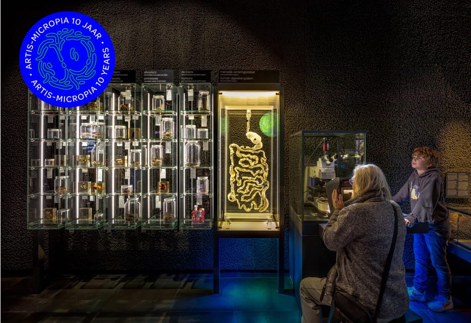 Amsterdam: Artis Royal Zoo & ARTIS-Micropia Combo Ticket - Price and value: what $55 buys you in real-life terms