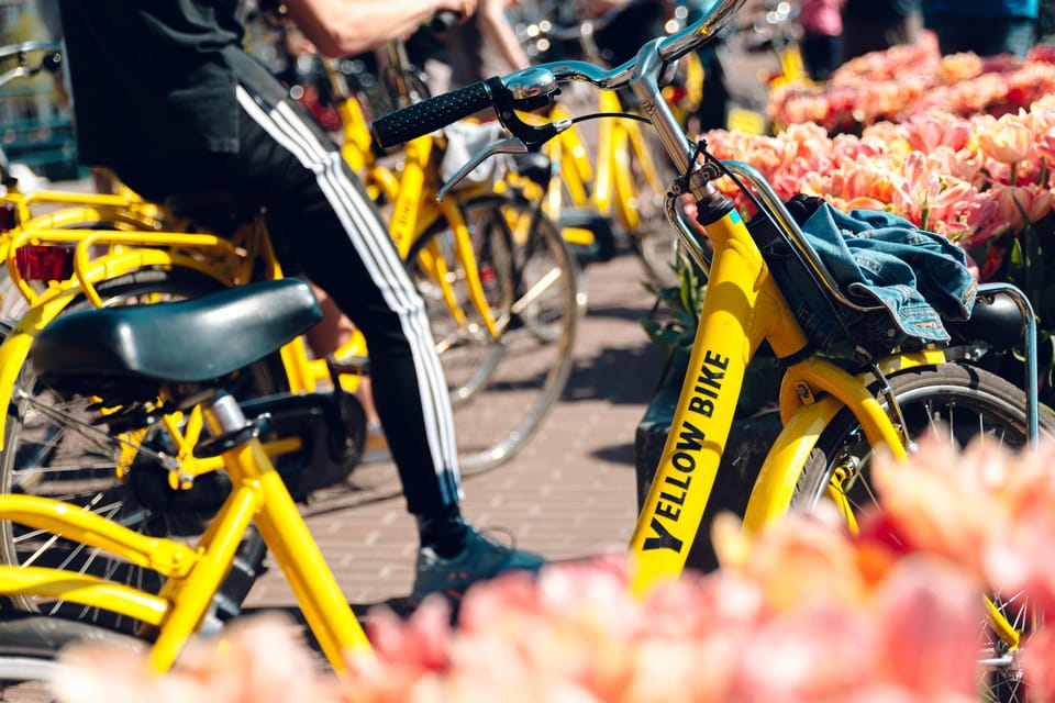 Amsterdam Bike Rental: Central Station & City Center - Why a One-Day Bike Rental from Central Station Makes Sense