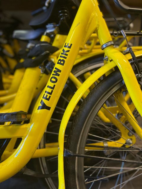 Amsterdam Bike Rental: Central Station & City Center - Planning Your Day: Historic Streets First, Windmills If You Have Time