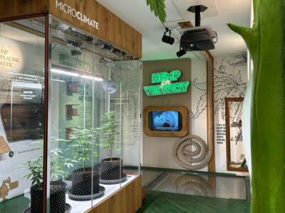 Amsterdam: Cannabis Museum Entry Ticket - Price and Value: Is $14 Worth It?