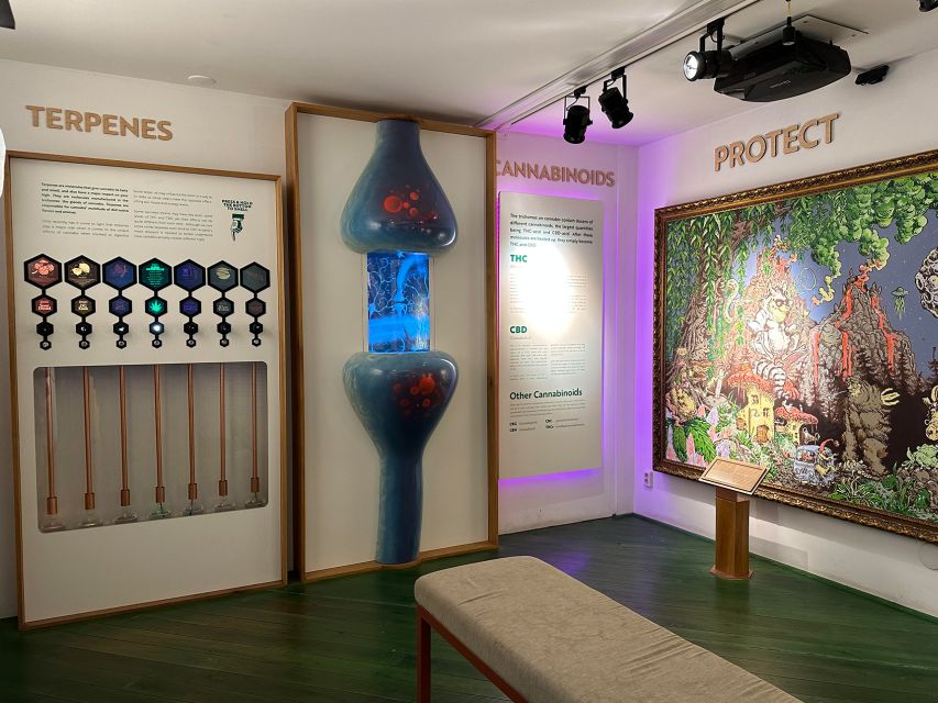 Amsterdam: Cannabis Museum Entry Ticket - History, Origins, and the Route to Amsterdam