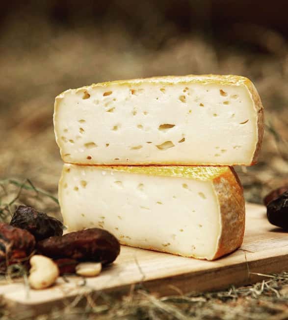 Amsterdam: Cheese, Windmill & Countryside Bike Tour - The farm visit: cheese tasting plus close-up animal encounters