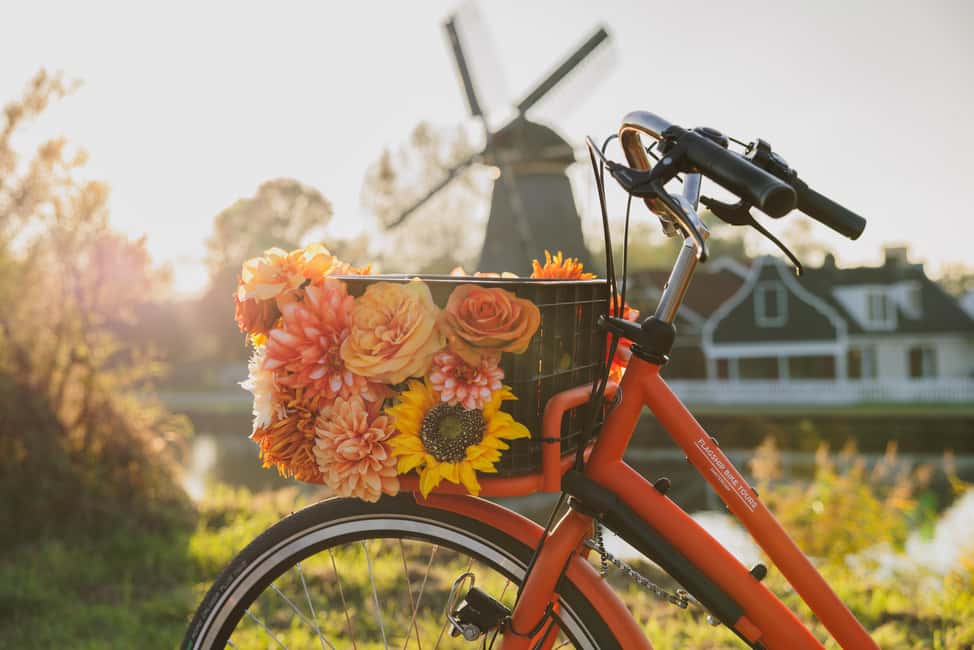 Amsterdam: Cheese, Windmill & Countryside Bike Tour - Ferry ride over to Amsterdam North: a scenic break from the pedals