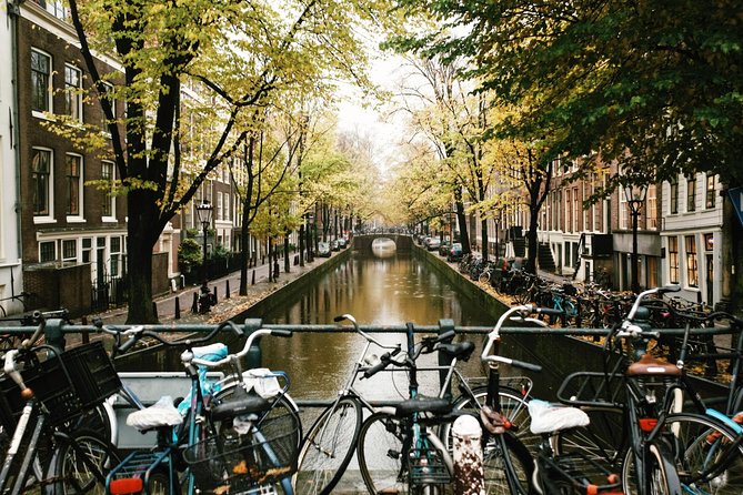 Amsterdam City Center Guided Walking Tour Semi-Private 12ppl Max - Trippenhuis and the narrow-house lesson: wealth, space, and land taxes