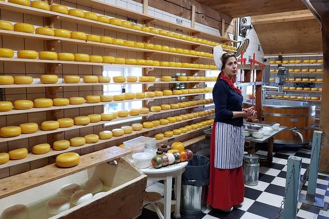 Amsterdam City & Countryside Tour: The Best of both Worlds - A 4-hour private combo that actually balances city and countryside