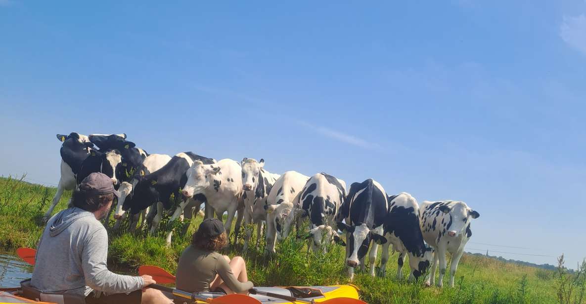 Amsterdam: Countryside Bike and Kayak Guided Tour - Key takeaways
