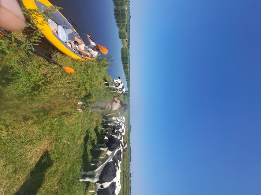 Amsterdam: Countryside Bike and Kayak Guided Tour - Should you book this Amsterdam countryside bike and kayak tour?