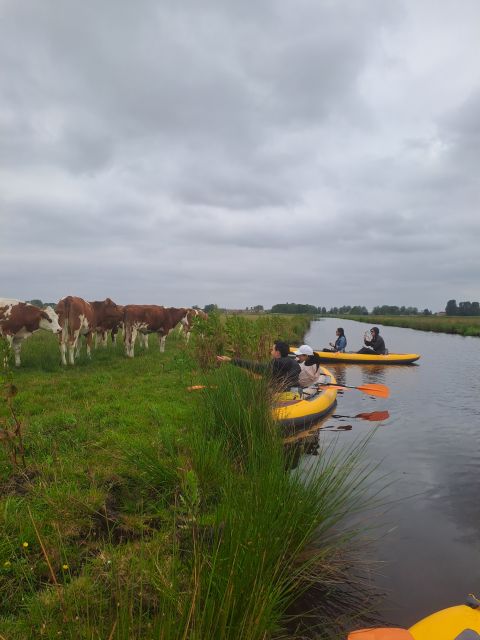 Amsterdam: Countryside Bike and Kayak Guided Tour - A’DAM Lookout to d’Admiraal Windmill: starting the day the Dutch way