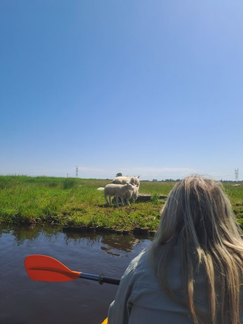 Amsterdam: Countryside Bike and Kayak Guided Tour - Broek in Waterland kayaking: calm canals and wildlife near the banks