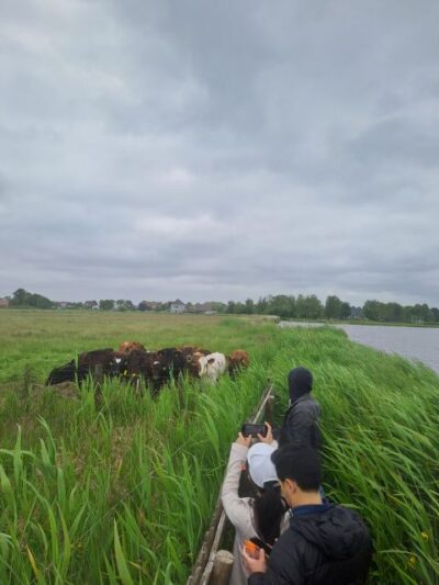 Amsterdam: Countryside Bike and Kayak Guided Tour - Cycling North Holland: country roads, open fields, and an easy rhythm