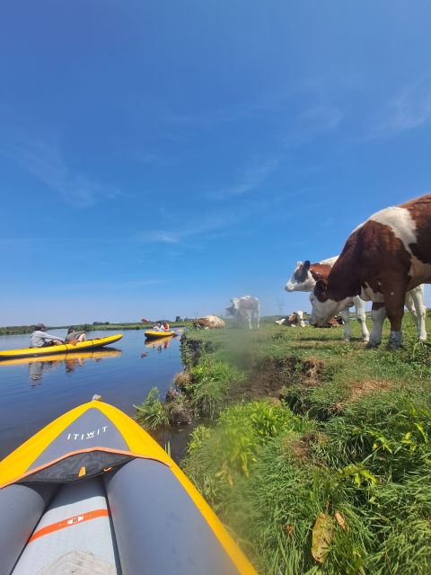 Amsterdam: Countryside Bike and Kayak Guided Tour - The built-in break: village time, sightseeing, and a church lunch option