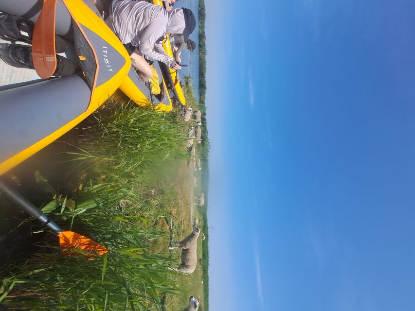 Amsterdam: Countryside Bike and Kayak Guided Tour - How the bike-to-kayak day stays fun (and not stressful)