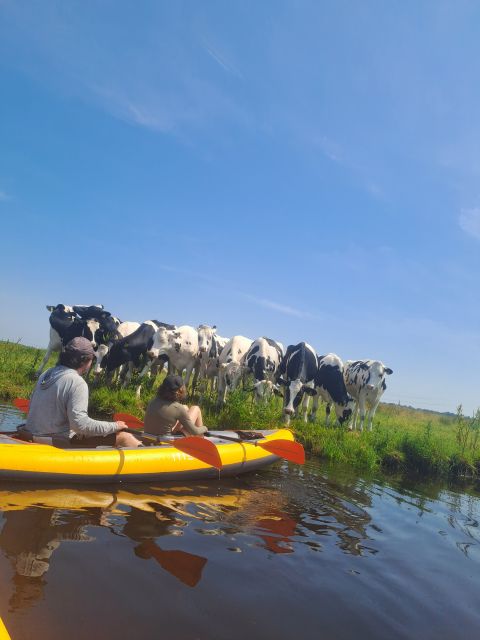 Amsterdam: Countryside Bike and Kayak Guided Tour - Who should book this tour, and who might not love it