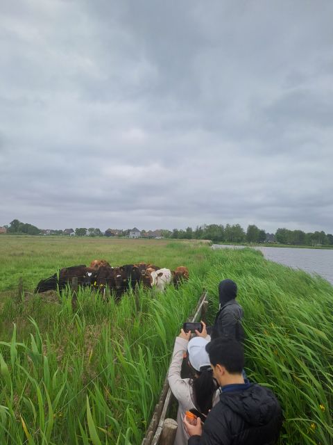 Amsterdam: Countryside Bike and Kayak Guided Tour - Cycling North Holland: country roads, open fields, and an easy rhythm