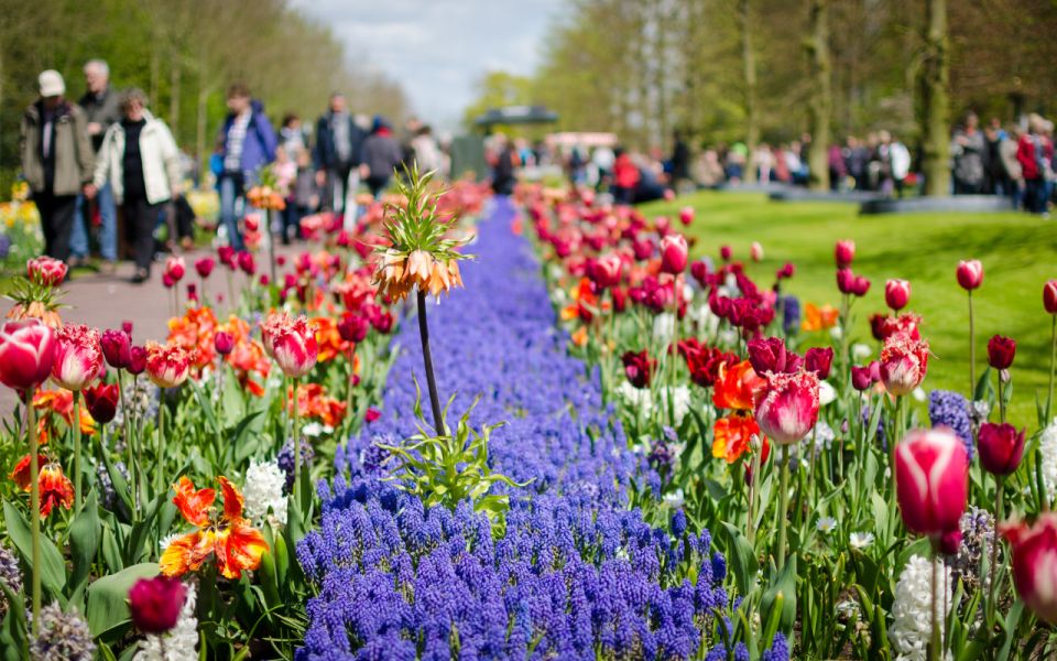 Amsterdam: Day Tour Keukenhof and Zaanse Schans Windmills - Key things that make this day tour worth your time