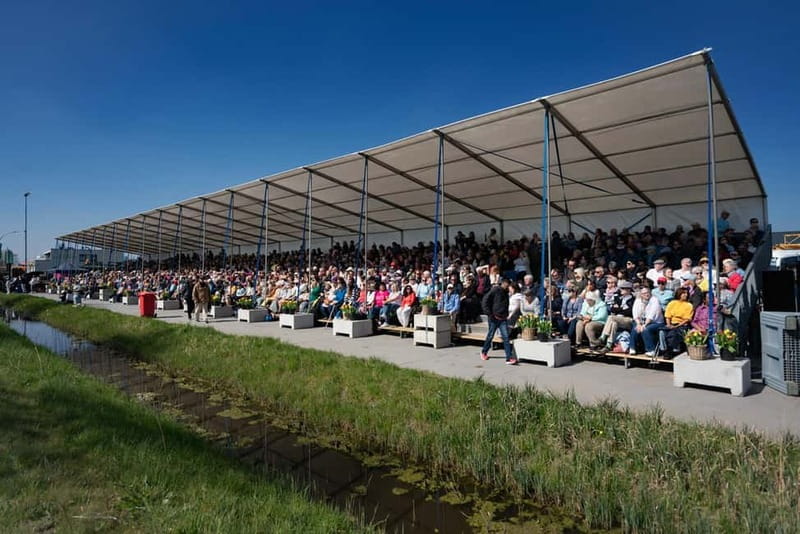 Amsterdam: Day Trip to Flower Parade & Keukenhof on April 18 - Flower Parade at the right moment in spring