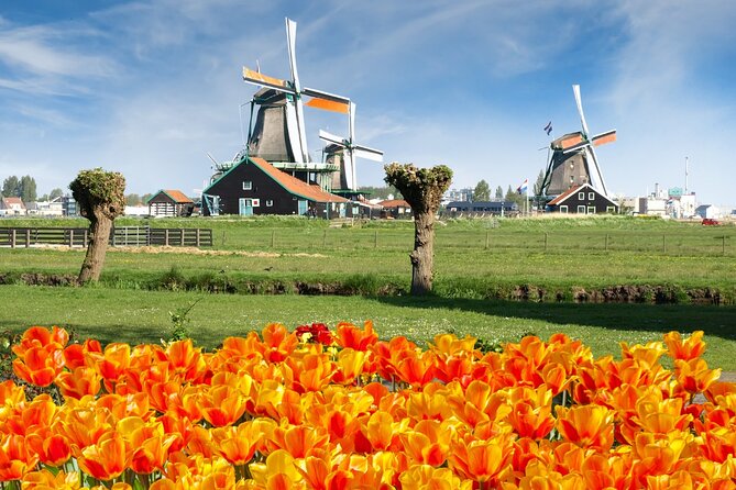 Amsterdam: Day Trip to Keukenhof & Zaanse Schans Windmills - Key things to know before you go