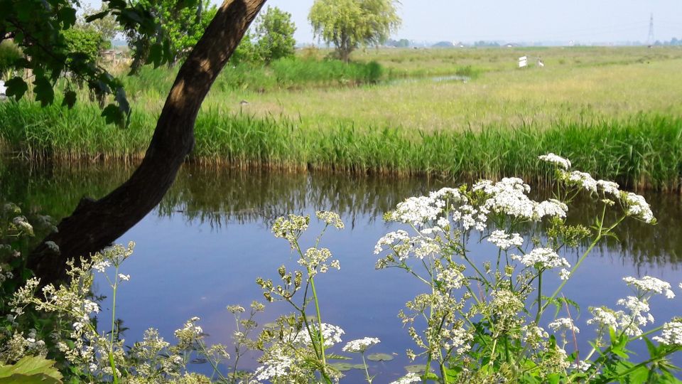 Amsterdam: Dutch Countryside Sunset Canoe Tour - Why the donation to Landschap Noord Holland matters