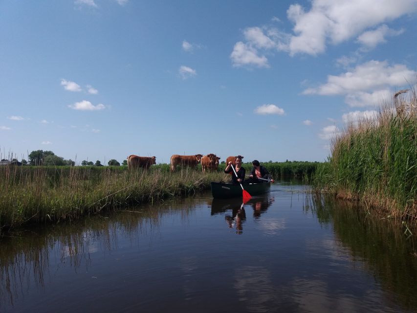 Amsterdam: Dutch Countryside Sunset Canoe Tour - Canoeing in calm water: easy effort, good control