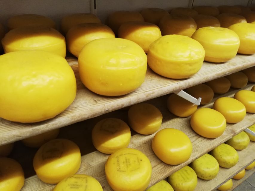 Amsterdam: Full-Day Countryside Tour - The route that strings together water, wind, and food
