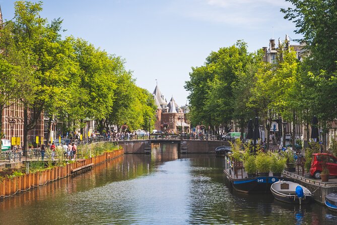 Amsterdam Highlights Small-Group Walking Tour - Muntplein and the Flower Market Energy: Where Color Meets the Everyday