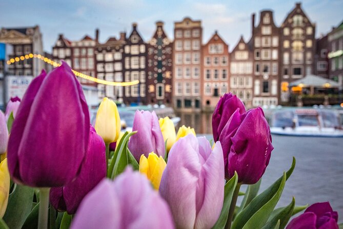 Amsterdam Highlights Walking Tour - Key things that make this Amsterdam walk worth it