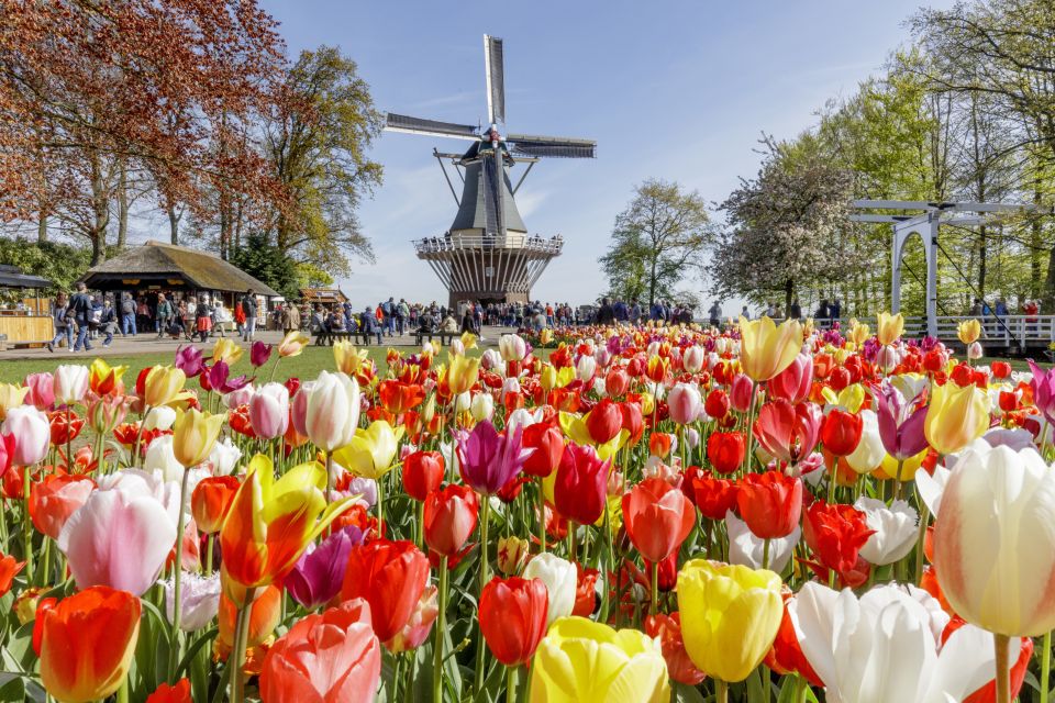 Amsterdam: Keukenhof and Zaanse Schans Live Guided Day Tour - Inside Keukenhof: Where to Spend Your Free Time