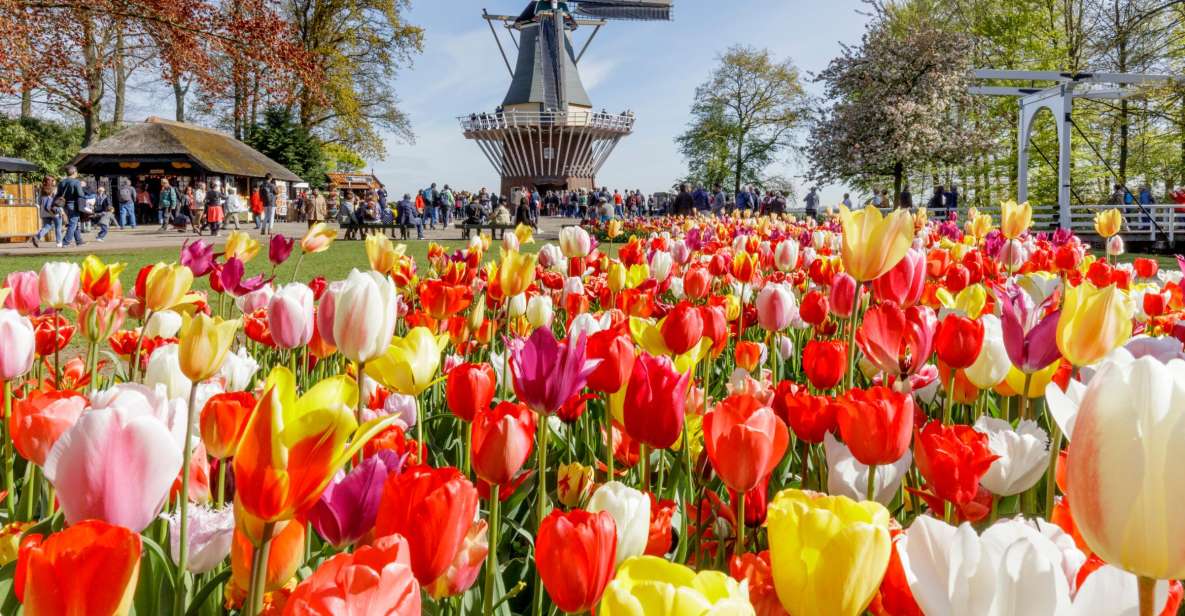 Amsterdam: Keukenhof and Zaanse Schans Live Guided Day Tour - Windmills and Village Time: How to Use Your ~2 Hours