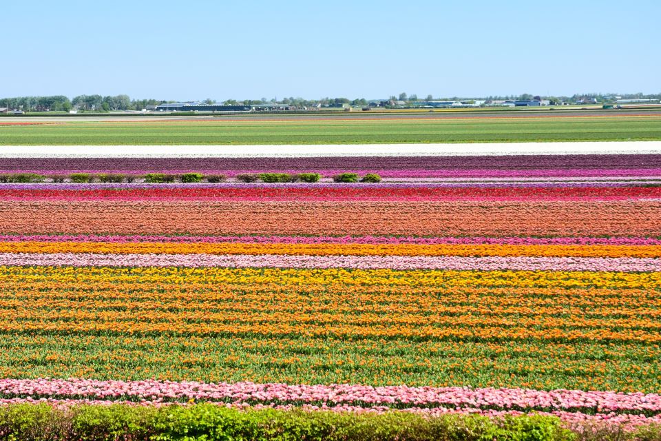 Amsterdam: Keukenhof and Zaanse Schans Live Guided Day Tour - Optional Add-Ons: Canal Cruise Voucher and 5D Flight