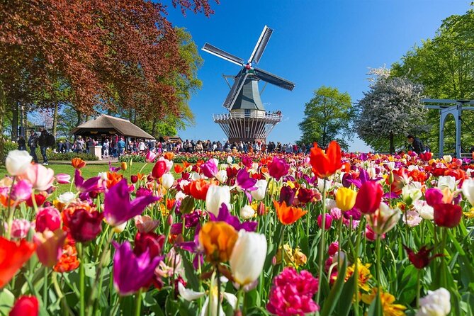 Amsterdam: Keukenhof Entry & Shuttle Bus with Flexible Return - Tulip Fields by Coach: What to Expect on the 40-Minute Ride
