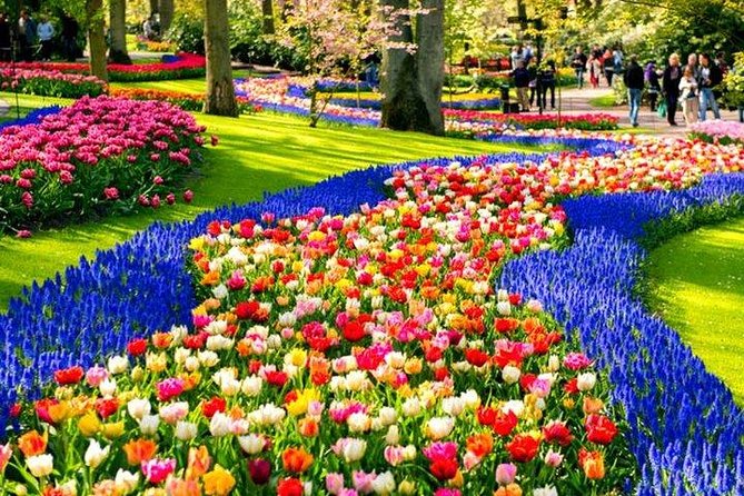 Amsterdam : Keukenhof FlowerFarm Privatetour Skip-The-Line ticket - The Guide’s Role: From Saad to Younes, It’s About Pacing