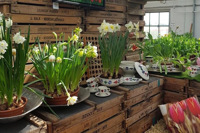 Amsterdam : Keukenhof FlowerFarm Privatetour Skip-The-Line ticket - Timing for Peak Bloom: When to Go (and Why Early Matters)