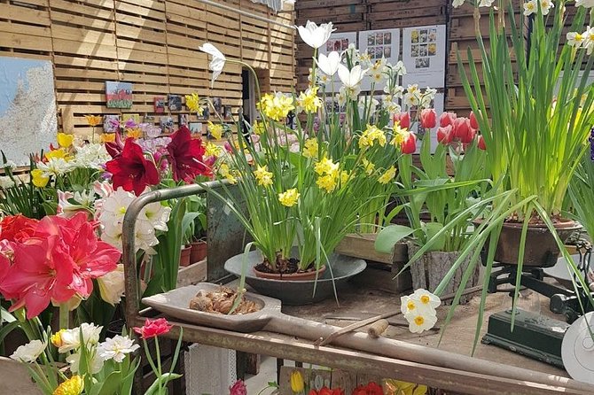Amsterdam : Keukenhof FlowerFarm Privatetour Skip-The-Line ticket - Price and Value: What You’re Paying for at $463.74