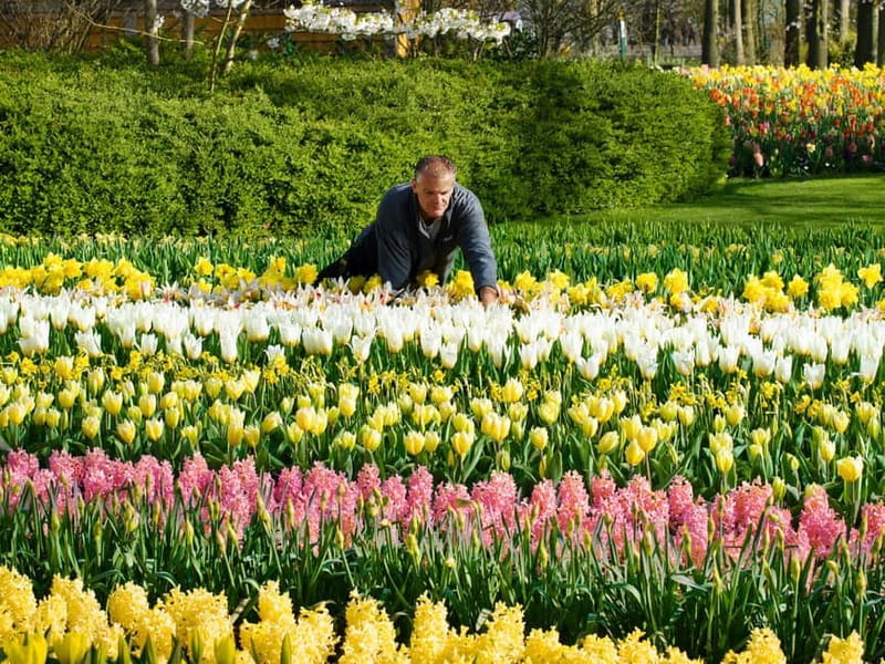 Amsterdam: Keukenhof Ticket and Roundtrip Shuttle Transfer - Amsterdam to Keukenhof: how this shuttle keeps the day simple