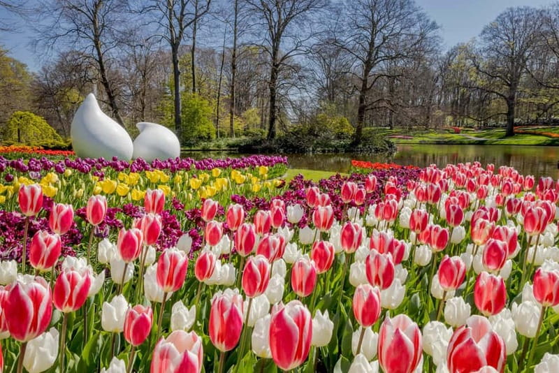 Amsterdam: Keukenhof Ticket and Roundtrip Shuttle Transfer - How long to stay: plan for more than you think