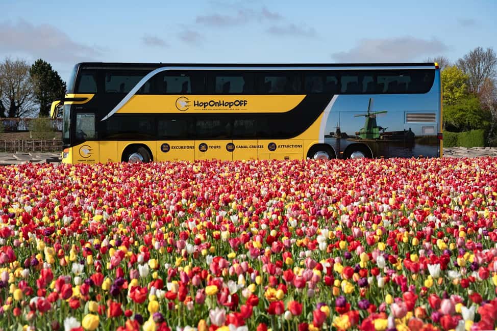 Amsterdam: Keukenhof, Tulip Farm Full-Day Tour with Cruise - Windmill cruise on Kagerplassen: the calm break you need